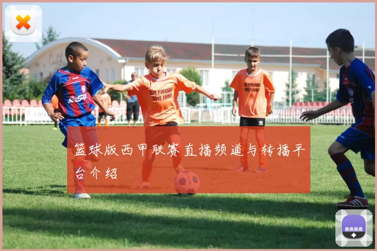 篮球版西甲联赛直播频道与转播平台介绍